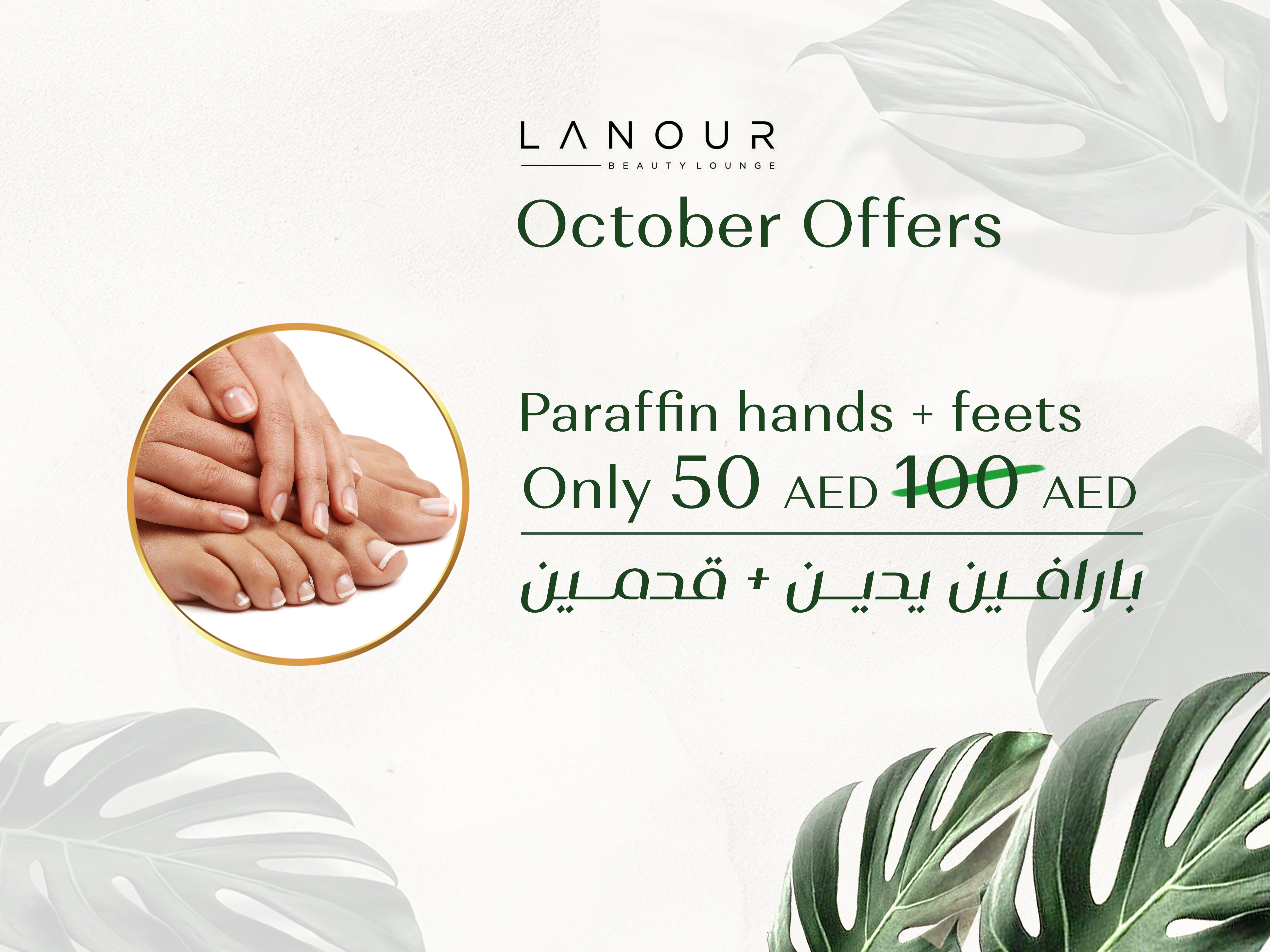 Monthly Offer